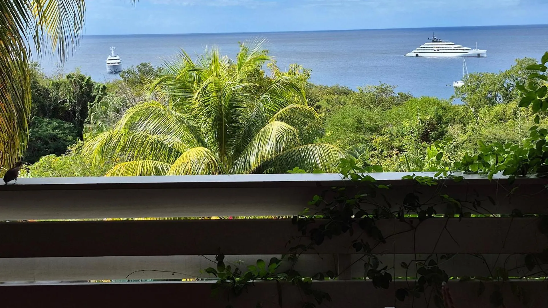 Villa Cannelle, Piscine, Vue Mer Deshaies